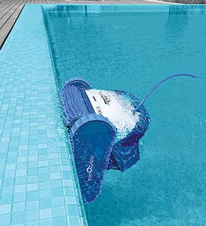 Dolphin MAYTRONICS