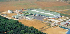 site Mareva