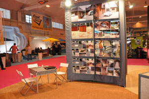 stand DSM 2011