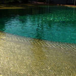 color del agua esmeralda y bordes de mosaico de oro