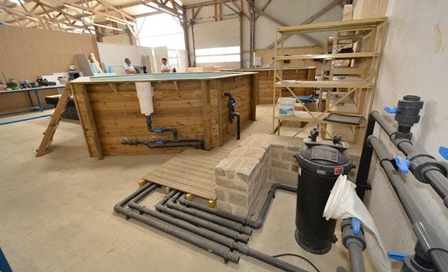 MFU Saint GrÃ©goire atelier technique