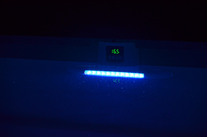 aio piscine led bleu