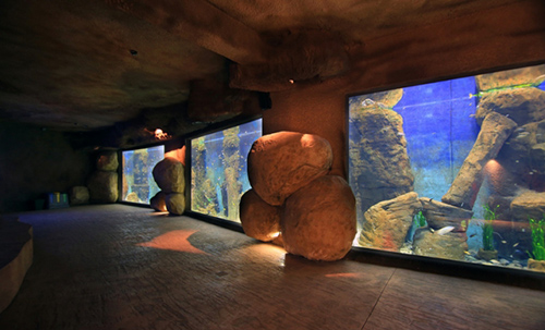 Technol filters in an oceanirium in Poland